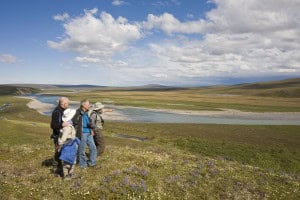 Alaska's Arctic Coastal Plain photo by Hugh Rose with Cheesemans' Ecology Safaris